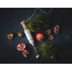 ADLER HAND BLENDER 500W WHITE/BRONZE