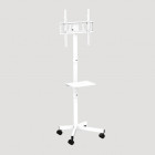 GEMBIRD TV FLOOR STAND TILT WITH CASTER WHEELS 32'-55' WHITE GEMBIRD TV FLOOR STAND TILT WITH CASTER WHEELS 32'-55' WHITE