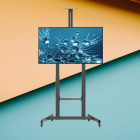 GEMBIRD TV FLOOR STAND WITH CASTER WHEELS (TILT) 60'-100'