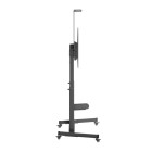 GEMBIRD TV FLOOR STAND WITH CASTER WHEELS (TILT) 60'-100'