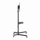 GEMBIRD TV FLOOR STAND WITH CASTER WHEELS (TILT), 37' - 70' VESA 800X600 BLACK
