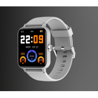 BLACKVIEW R30 BT5.0 SMARTWATCH GREY